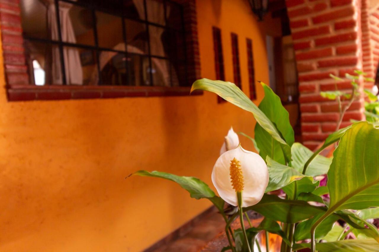Mex Suites Casa Azul B&B Città del Messico Esterno foto
