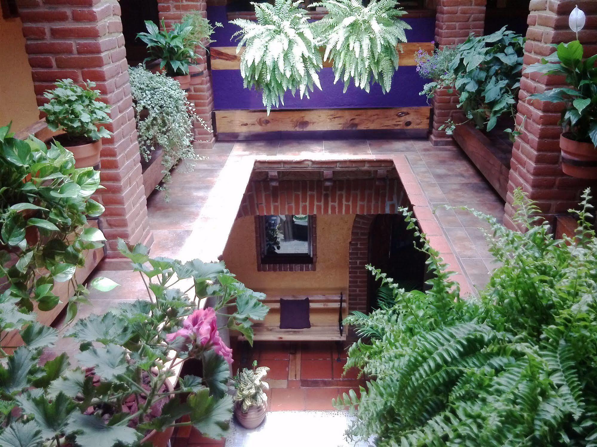 Mex Suites Casa Azul B&B Città del Messico Esterno foto